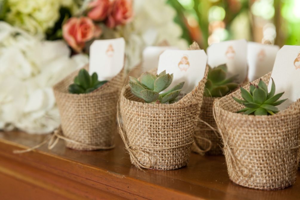 Prezenty dla gości weselnych - roślinki