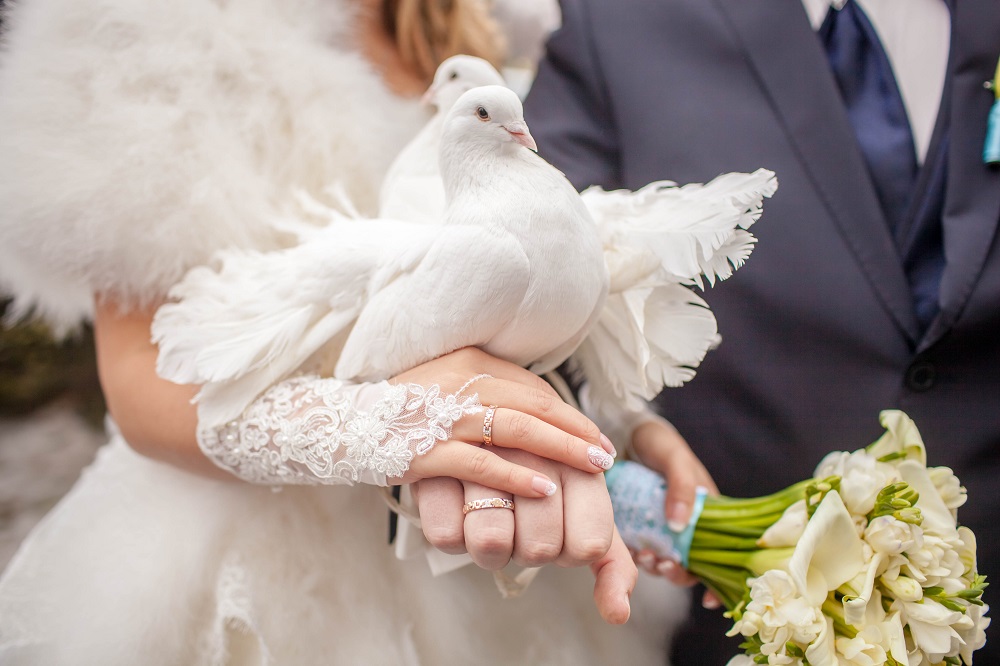 Niespodzianka na wesele - białe gołębie