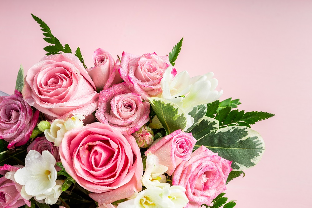 Bukiety ślubne z róż. Bukiet różowych róż z kroplami rosy.