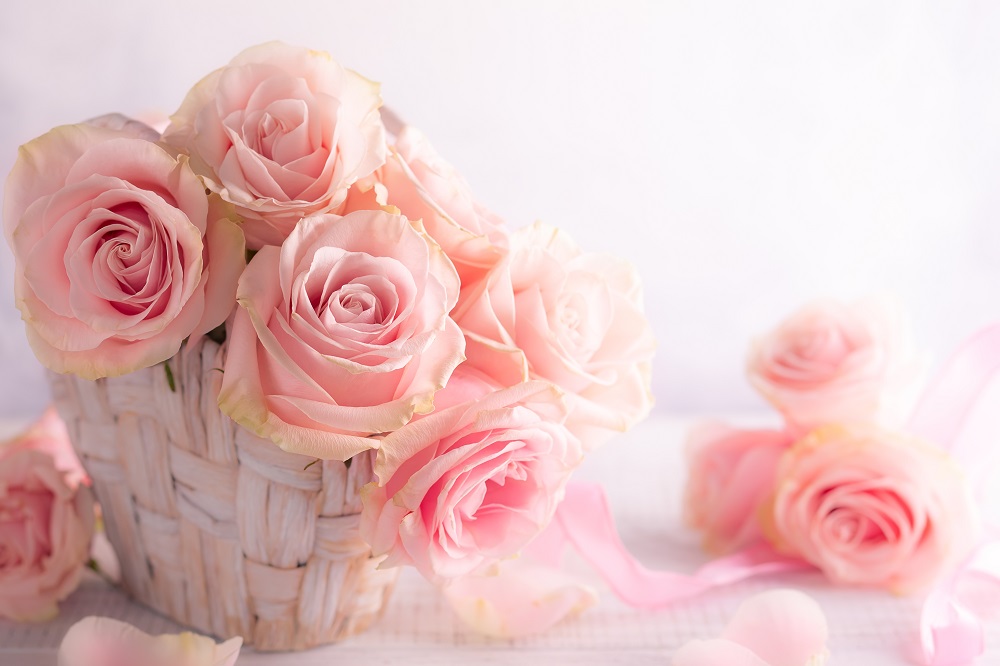 Bukiety ślubne z róż. Piękne pąki różowych róż w ozdobnych koszyczku.
