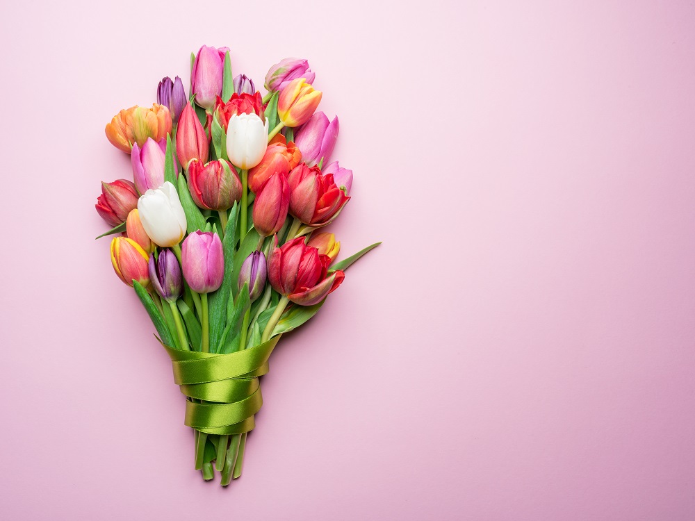 Bukiet ślubny tulipany. Śliczny bukiet z różnokolorowych tulipanów.