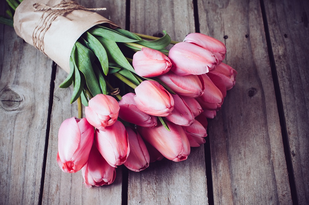 Bukiet ślubny tulipany. bukiet świeżych, różowych tulipanów.
