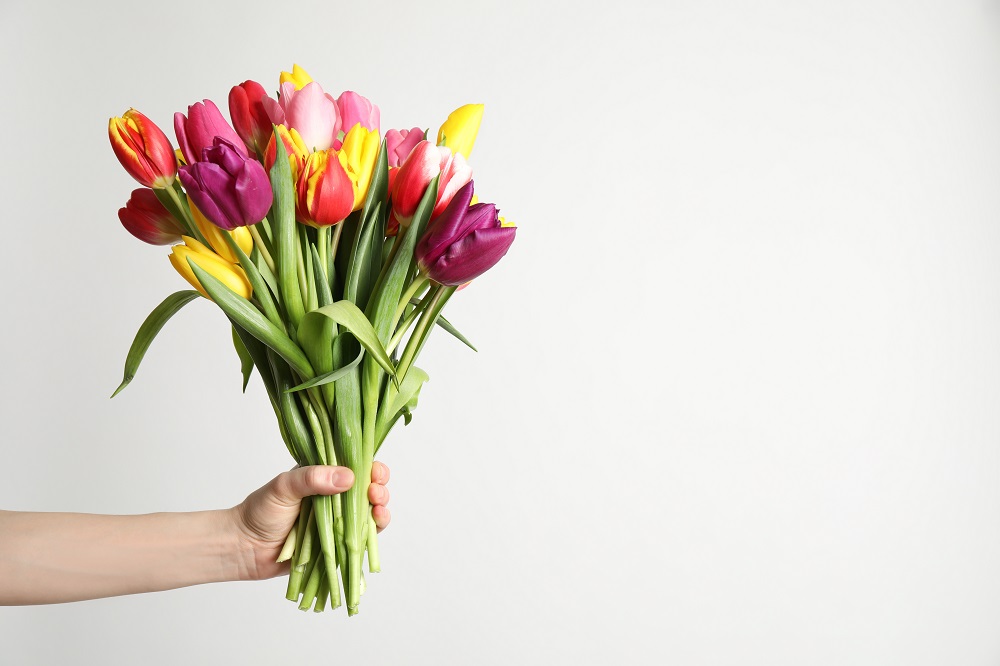 Bukiet ślubny tulipany. Tulipany w różnych kolorach.