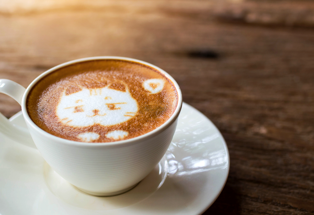 Coffee bar na wesele - kot wykonany techniką latte art 